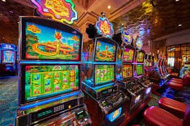 9955bet 9955bet