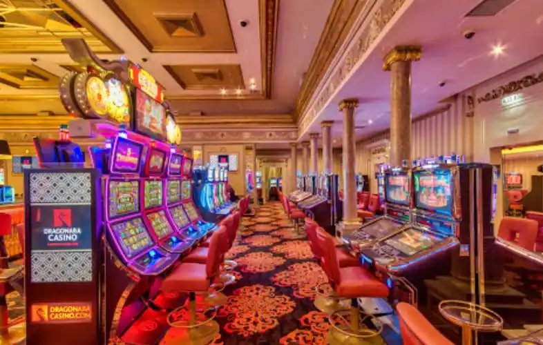 9955bet 9955bet