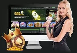 9955bet 9955bet